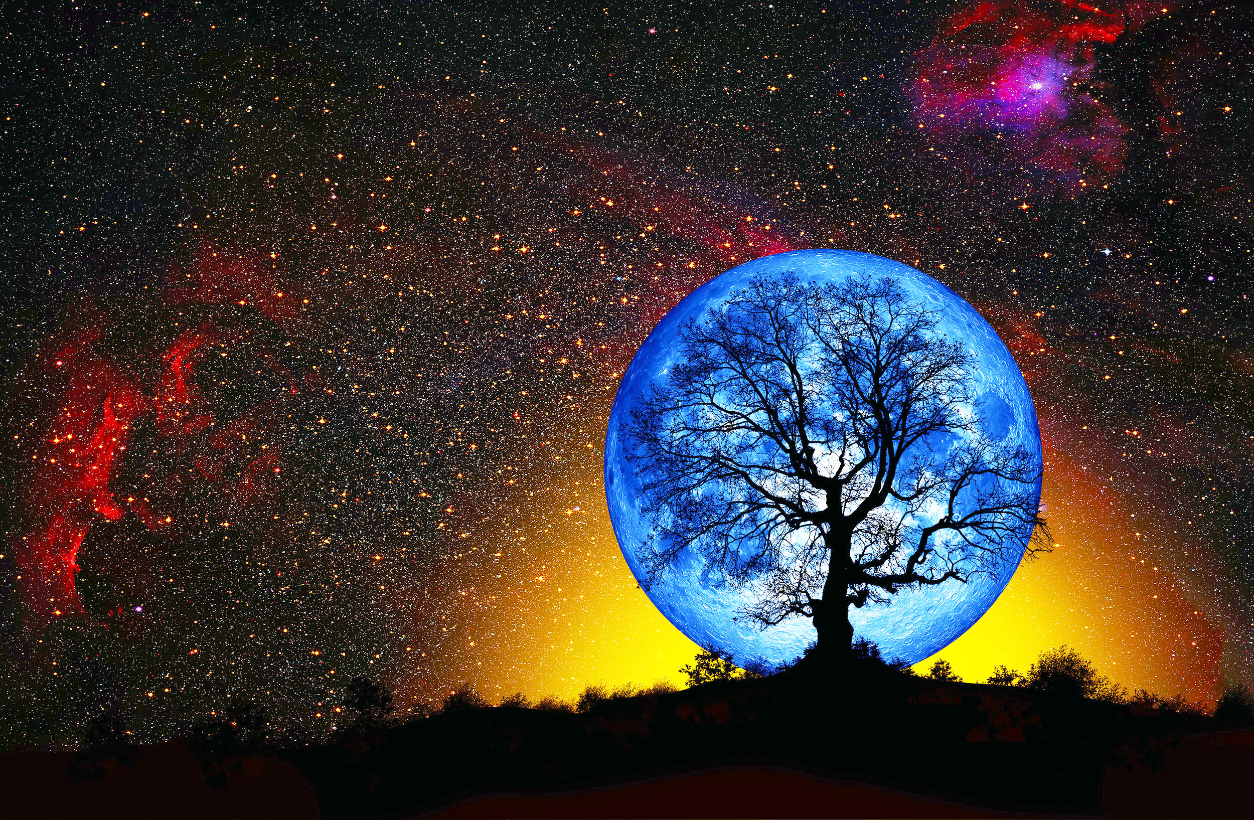 blue-moon_supermoon_oak-tree_1medium.jpg