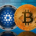 Szárnyal a Cardano, ismét zöldben zárhat a Bitcoin