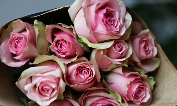 Rózsás hangulatban - Válogatás kedvenc rózsás termékeinkből