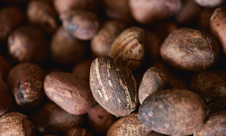 Shea vaj francia köntösben