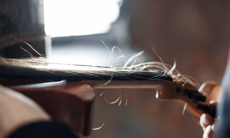 Hegedűlj emberi hajból készült húrokon - Videó
