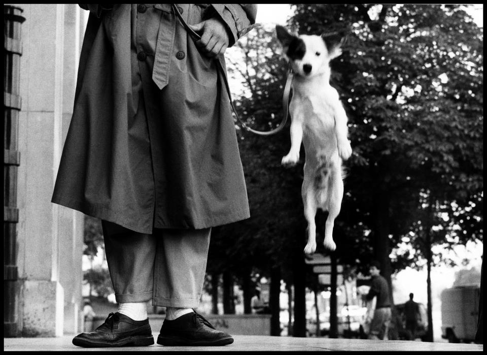 erwitt-paris.jpg