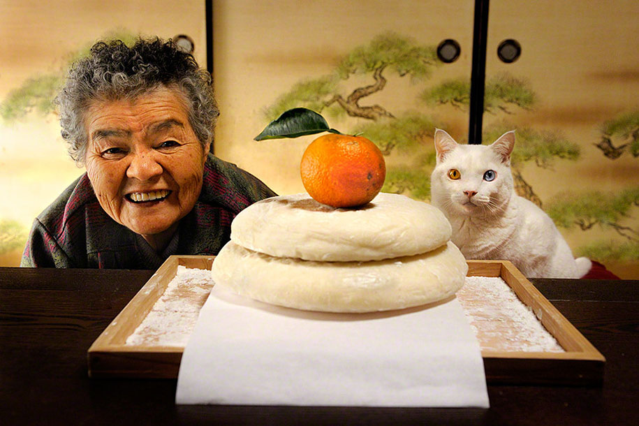 grandmother-and-cat-miyoko-ihara-fukumaru-1.jpg