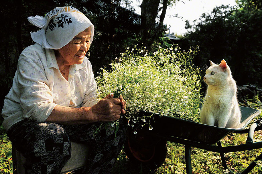 grandmother-and-cat-miyoko-ihara-fukumaru-11.jpg