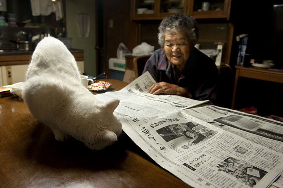 grandmother-and-cat-miyoko-ihara-fukumaru-16.jpg