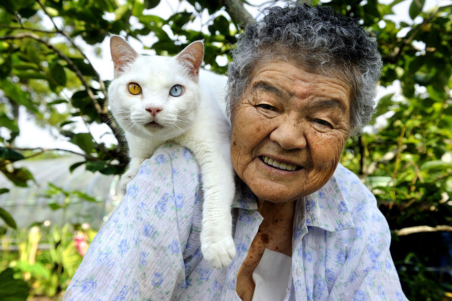 grandmother-and-cat-miyoko-ihara-fukumaru-17.jpg
