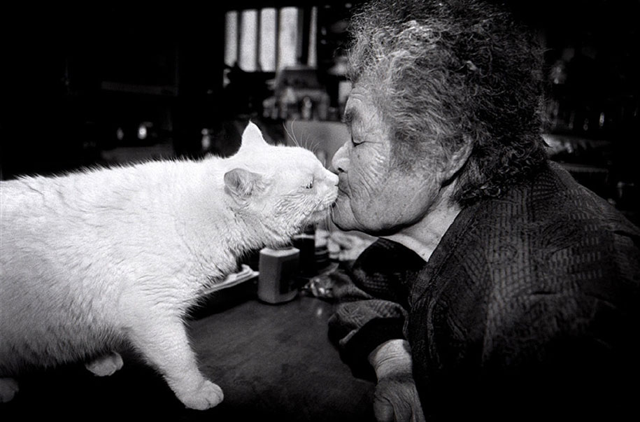 grandmother-and-cat-miyoko-ihara-fukumaru-9.jpg