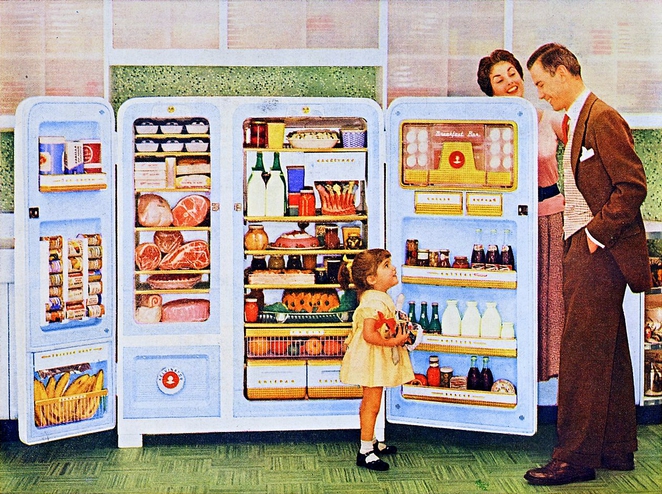 refridgerator.jpg.662x0_q100_crop-scale.jpg