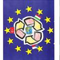 The winner logo of the Turkish Comenius competition