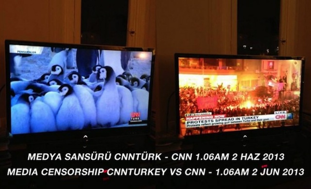 penguins-cnn-turkey-650x396.jpg