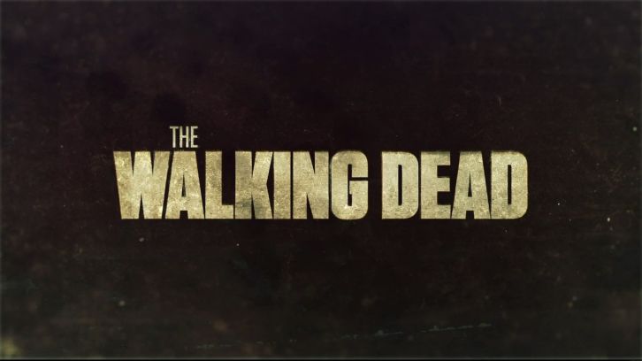 the-walking-dead-header.jpg