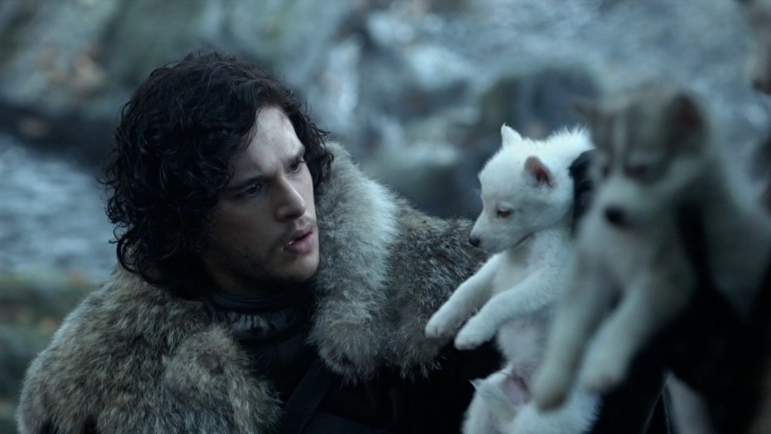 jon-snow-and-ghost.jpg