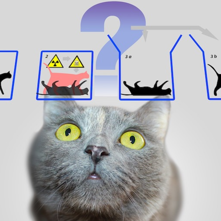 A világgazdaság állapota, avagy Schrödinger macskája