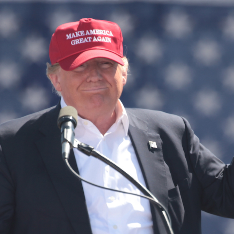 Donald Trump, a rögeszme, a Piac Akarata és a tickrabszolgaság