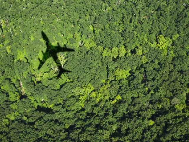 Trónra emeli az Airbust a koronavírus?