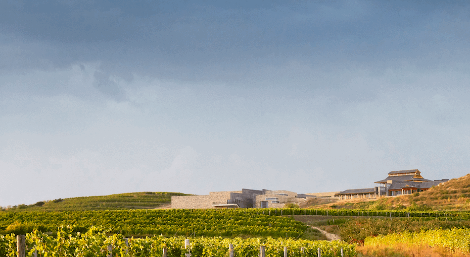 vineyard-and-villa_copyright-richard-haughtonv9_jpg.gif