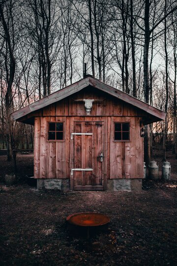 vertical-shot-buffalo-skull-entrance-wooden-barn-with-trees-background_181624-24213.jpg