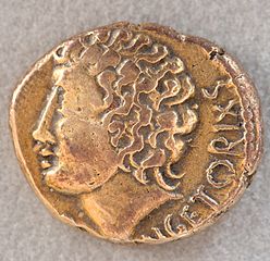 vercingetorix_stater.jpg