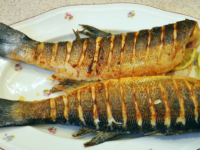 Tengeri sügér grillen