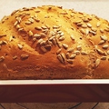 Napraforgós kenyér