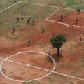 Indiai focipálya Green Peace aktivistákkal