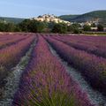 A csodálatos Provence