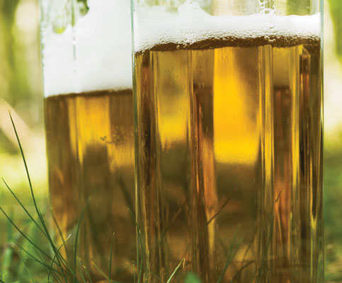 beer-grass.jpg