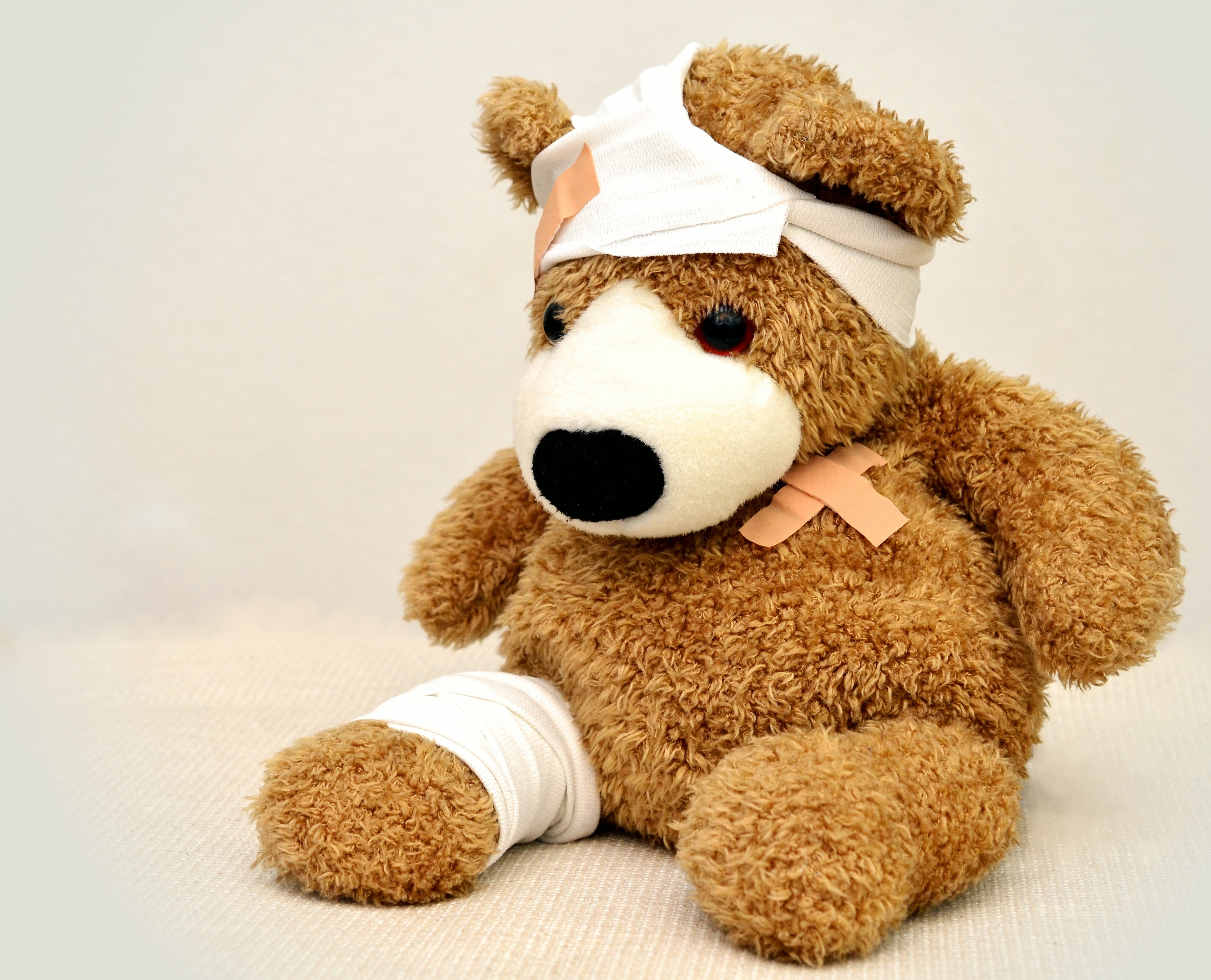 brown-and-white-bear-plush-toy-42230.jpg