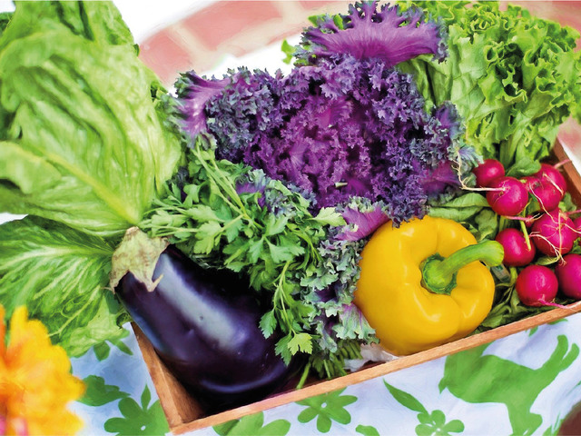 Ezzel a térképpel már neked sem kell aggódnod, hogy mikor milyen gyümölcsöt és zöldséget érdemes venni