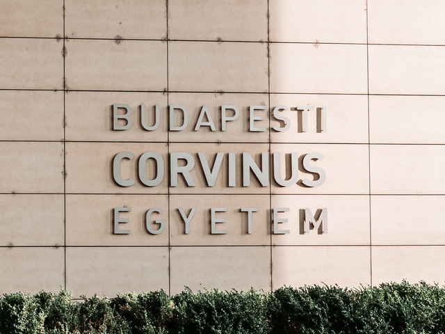 Ezekre a keresztféléves mesterszakokra jelentkezhetsz idén a Corvinuson