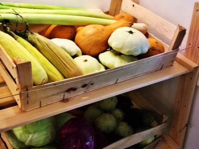 Markolj bele – Megnyílt az első csomagolás nélküli bolt Magyarországon