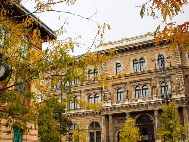 Ismét a Corvinus Ösztöndíjról