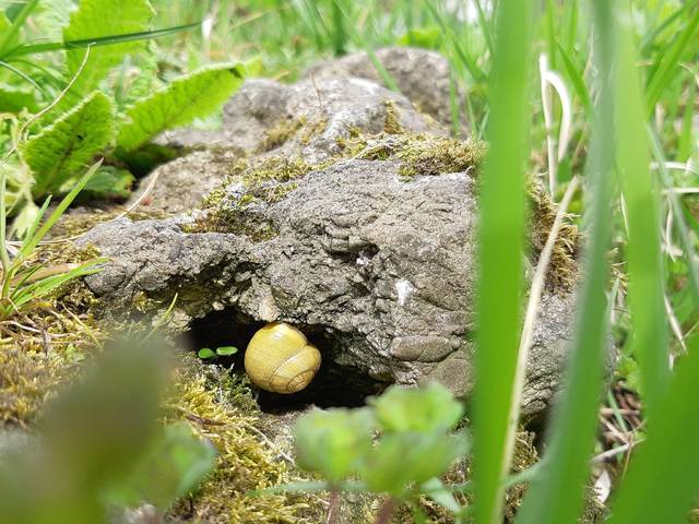 Kult Köz – a leghangulatosabb bolhapiac Kőbányán, Alhambra és KAPSZLI