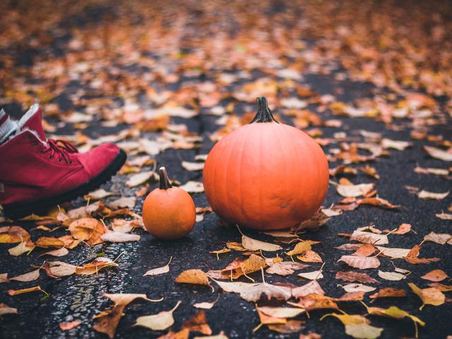 KULT KÖZ – Mélylevegő, Pécsi balett, Az üvegbura és megannyi izgalmas program, könyv, film november elejére