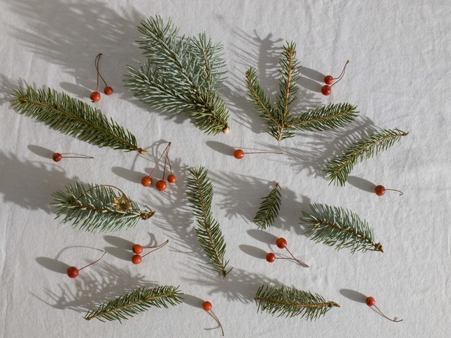 Karácsonyi készülődés könyvekkel - könyvajánló