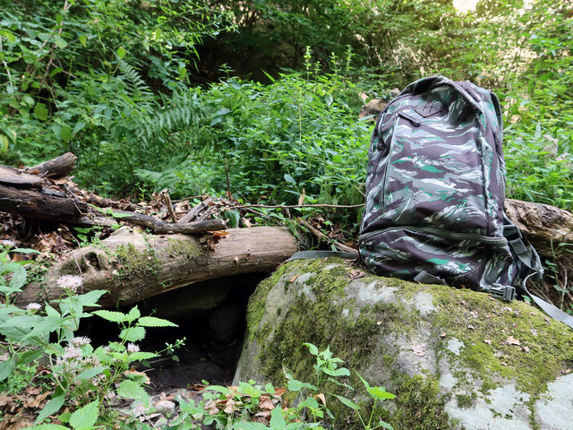 Programok, amiket még a vírus sem tudott eltörölni - Aktív és biztonságos időtöltés tavasszal