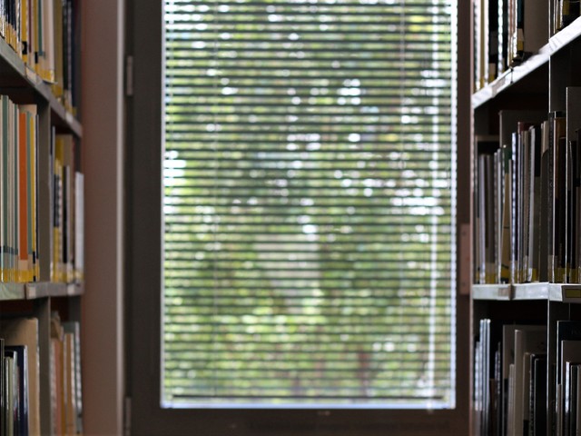 Így is át lehet ültetni a tudást a mindennapokba - Dióhéjban egy elismert, magyar tudós irodalmi munkásságáról