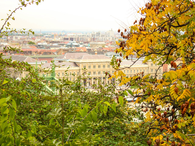 A vizsgaidőszakot is online formában tervezik a Corvinuson