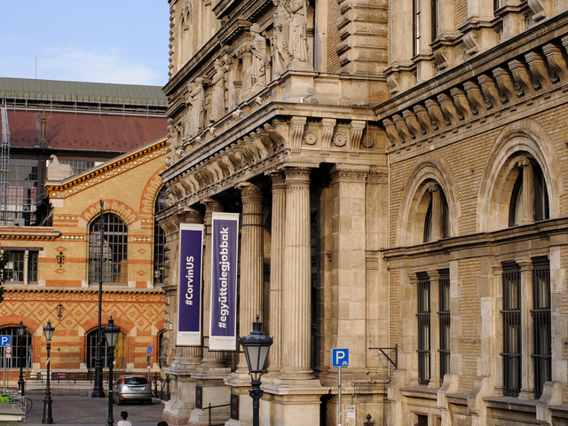 Kamerafóbia, láthatóság, tanár-diák kapcsolat - Egyetemi oktatók beszélgettek a digitális oktatás hatásáról