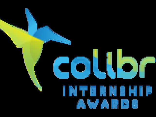 Ringbe szálltak a legjobb gyakornoki helyek