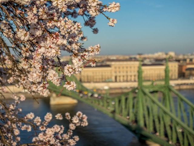 Rangos nemzetközi elismerés és közösség – Új MBA akkreditációt szerzett a Corvinus