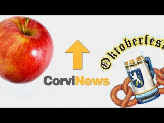 A stúdió Budára költözött