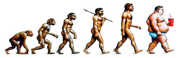 fatevolution.png