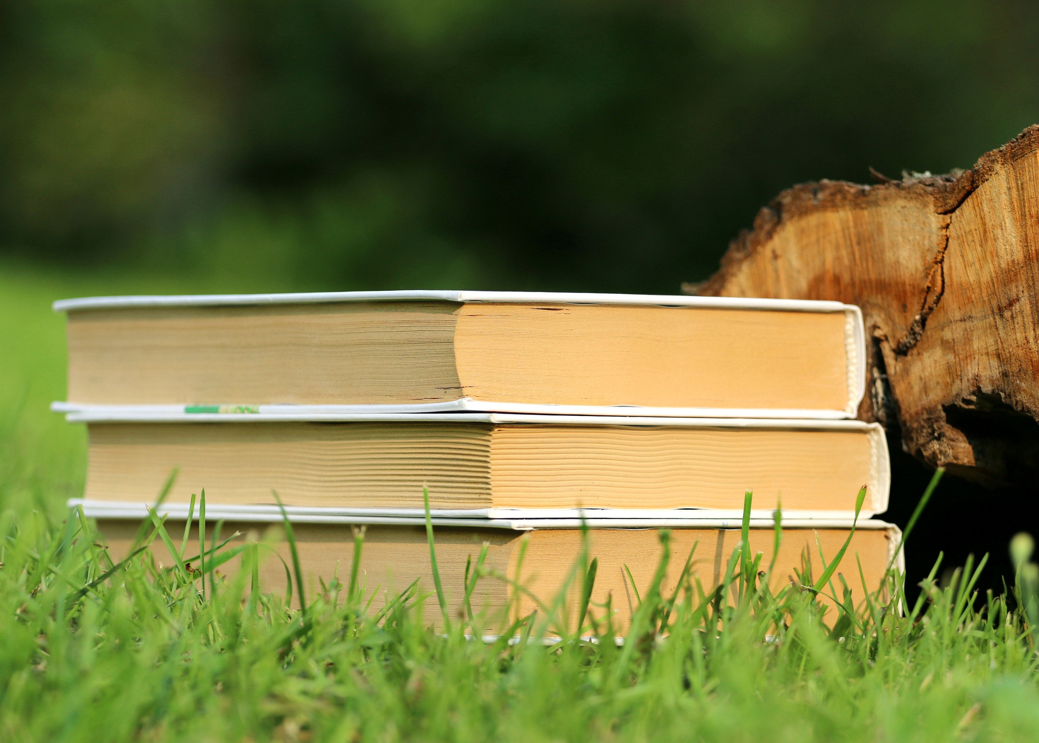 selective-focus-photography-of-3-book-piled-159544.jpg