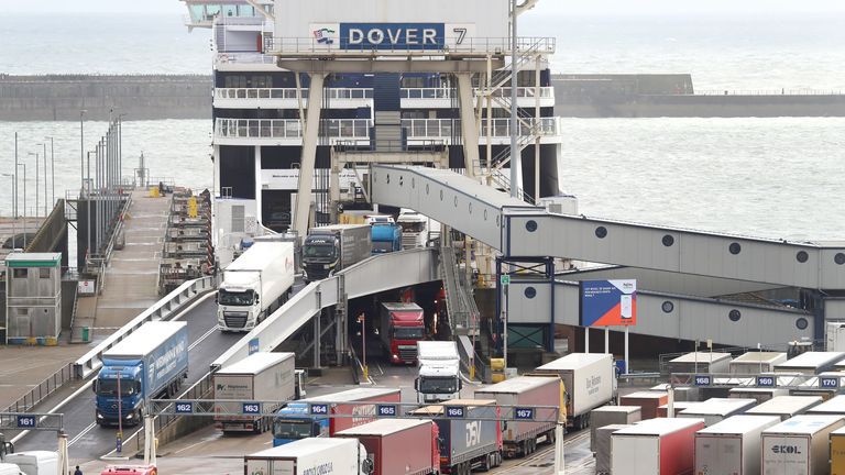 skynews-port-of-dover-brexit_5214324.jpg