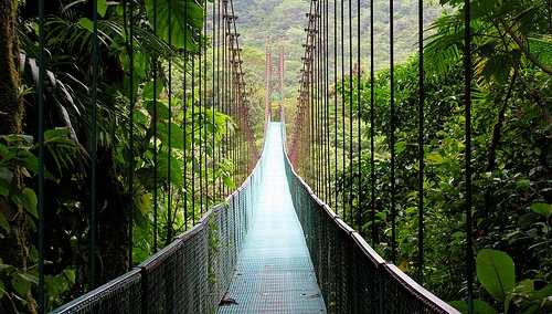 monteverde-cloud-forest-reserve-suspense-bridge_1.jpg