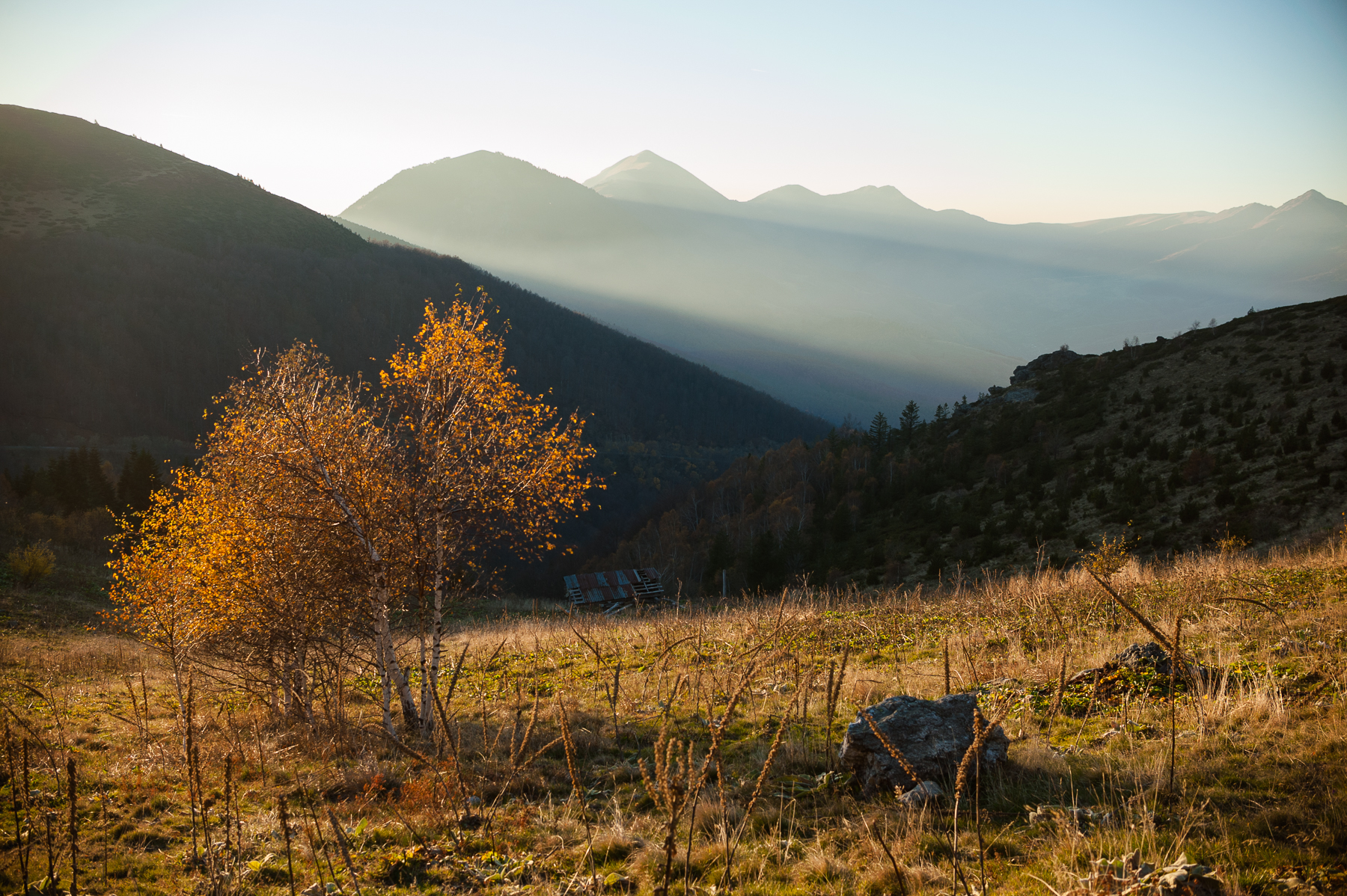 brezovica-6366-2.jpg