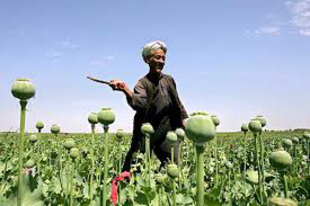 Changements en Afghanistan
