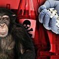 A CNN társalapítója által alapított nonprofit szervezet a majomhimlő 2021-es kitörésére készült.