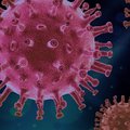 Mi is az a koronavírus?